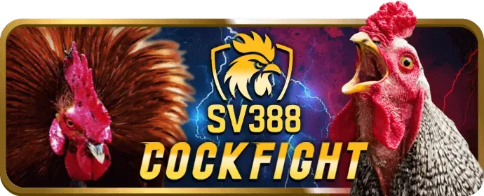 Hoàn trả hàng ngày TKSV388 bắn cá